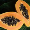 Avatar papaja55