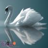 Avatar kate_swan