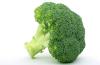 Avatar broccolina