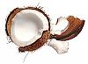 Avatar Senorita Coconut