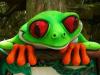 Avatar frogfrog
