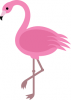 Avatar flamingo_0