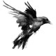 Avatar black___raven