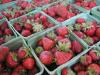 Avatar sweetsrawberries