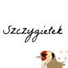 Avatar szczygielekhandmade