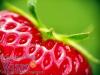 Avatar Strawberries_cherries