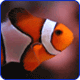 Avatar Fishy279